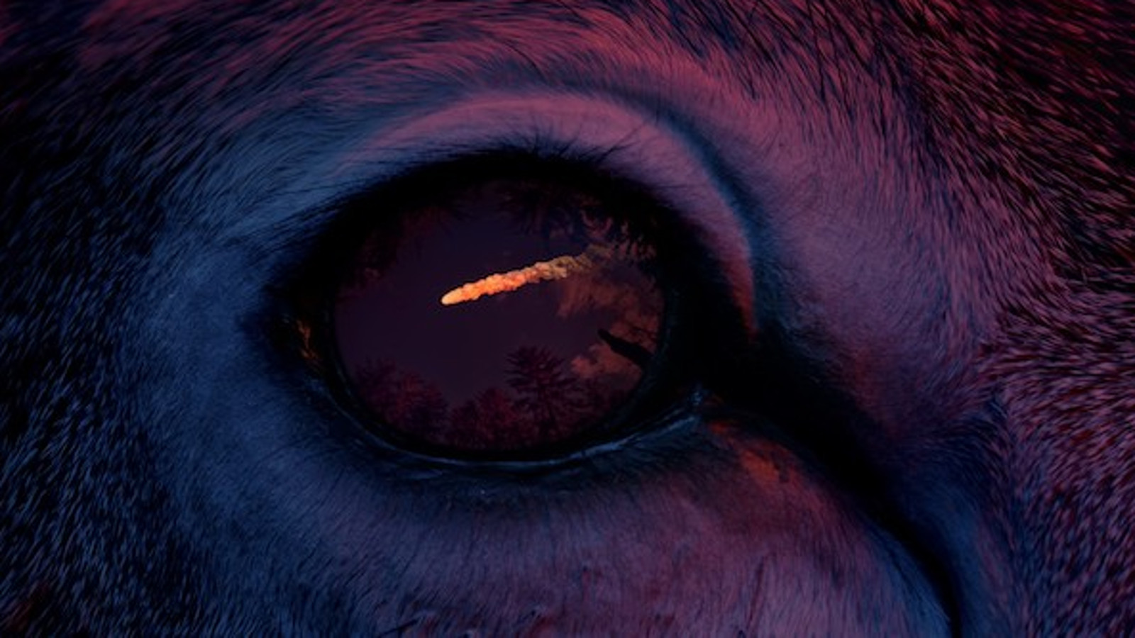 Kuvassa on tumma violetti sävvy ja siinä on keskellä silmä, johon osuu valojuova. Siinä on karvoitusta ja silmä on eläimen. 