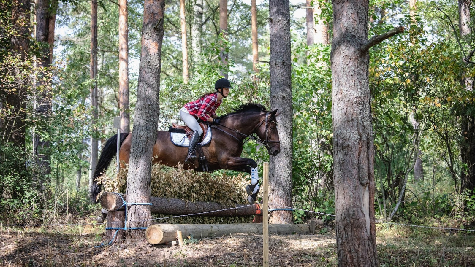 Kuvassa on Olga Temonen ratsastamassa metsässä.  Hevonen on ruskea.