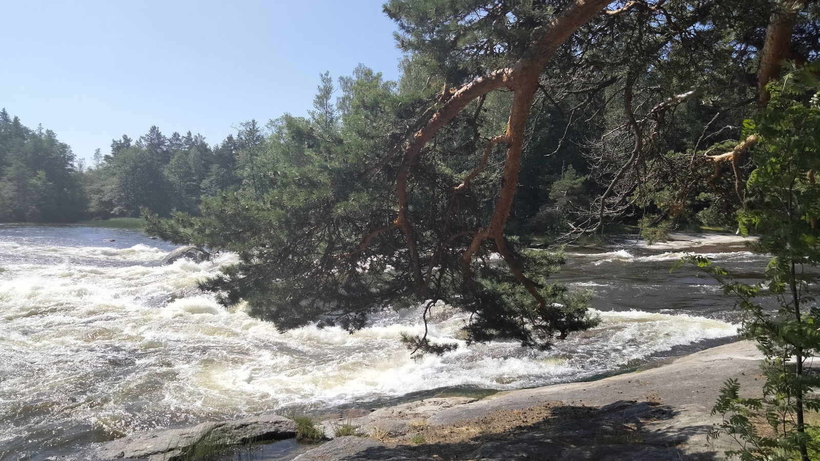 Langinkosken kohina on vaikuttavaa.