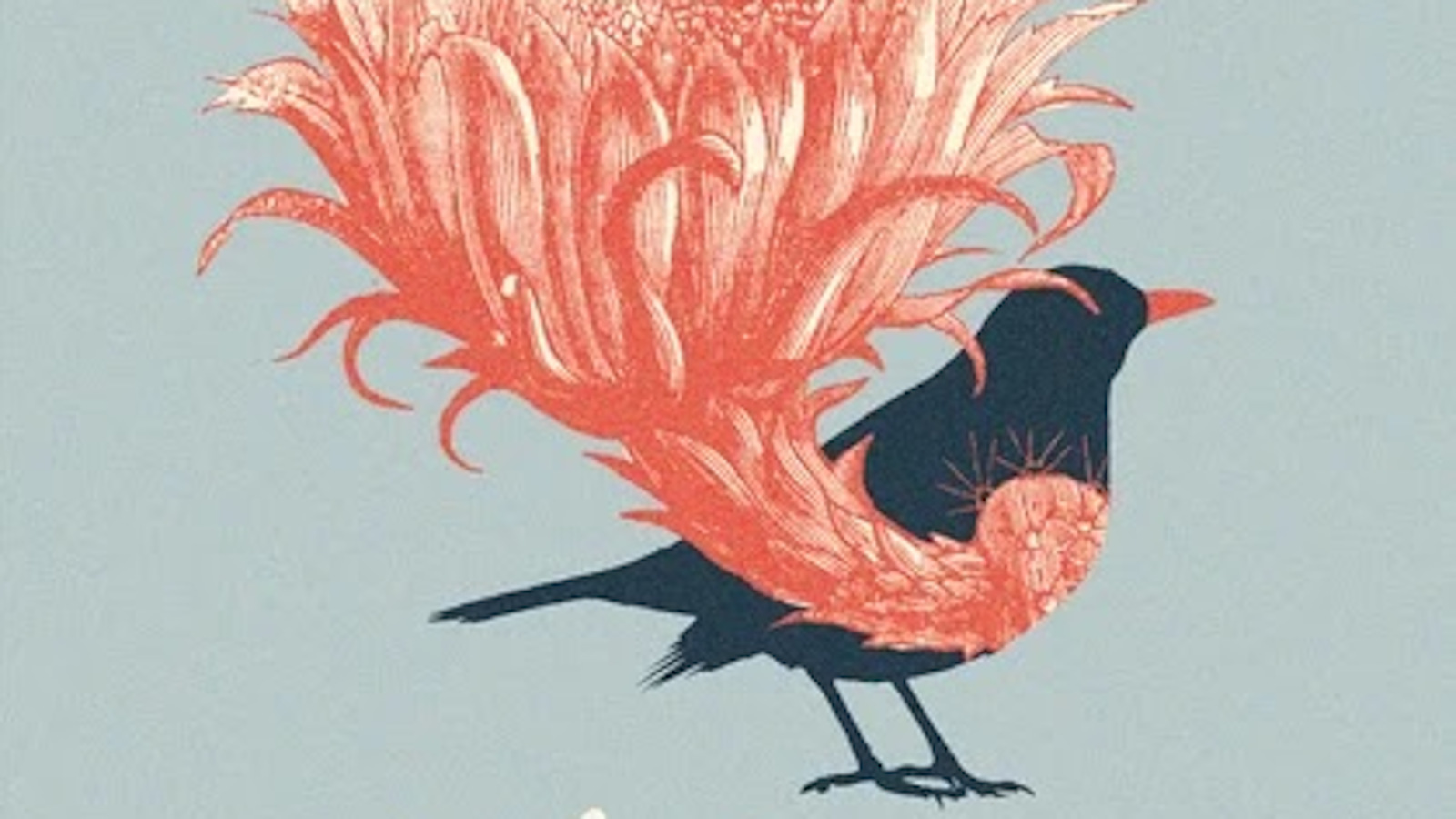 Kuvassa on osa kirjan Sisäolennoista kannesta. Kuvassa on vaalean harmahtavalla pohjalla musta lintu, jolla on punainen ylöspäin ulottuva pörheä sulkamassa keskellä vatsasta ylöspäin.