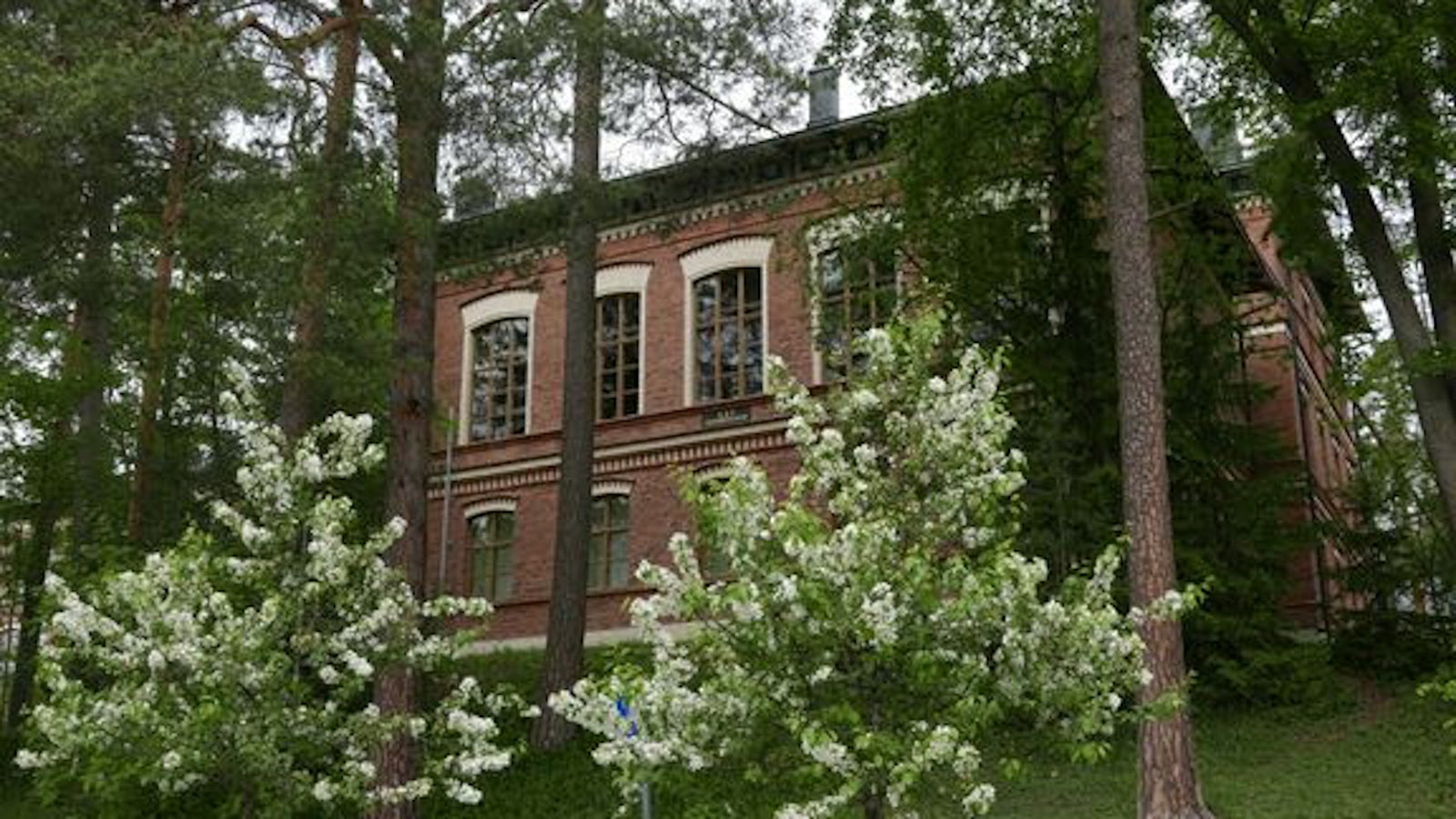 Kuvassa on Konstantin Kiseleffin talo, joka on puiden keskellä.