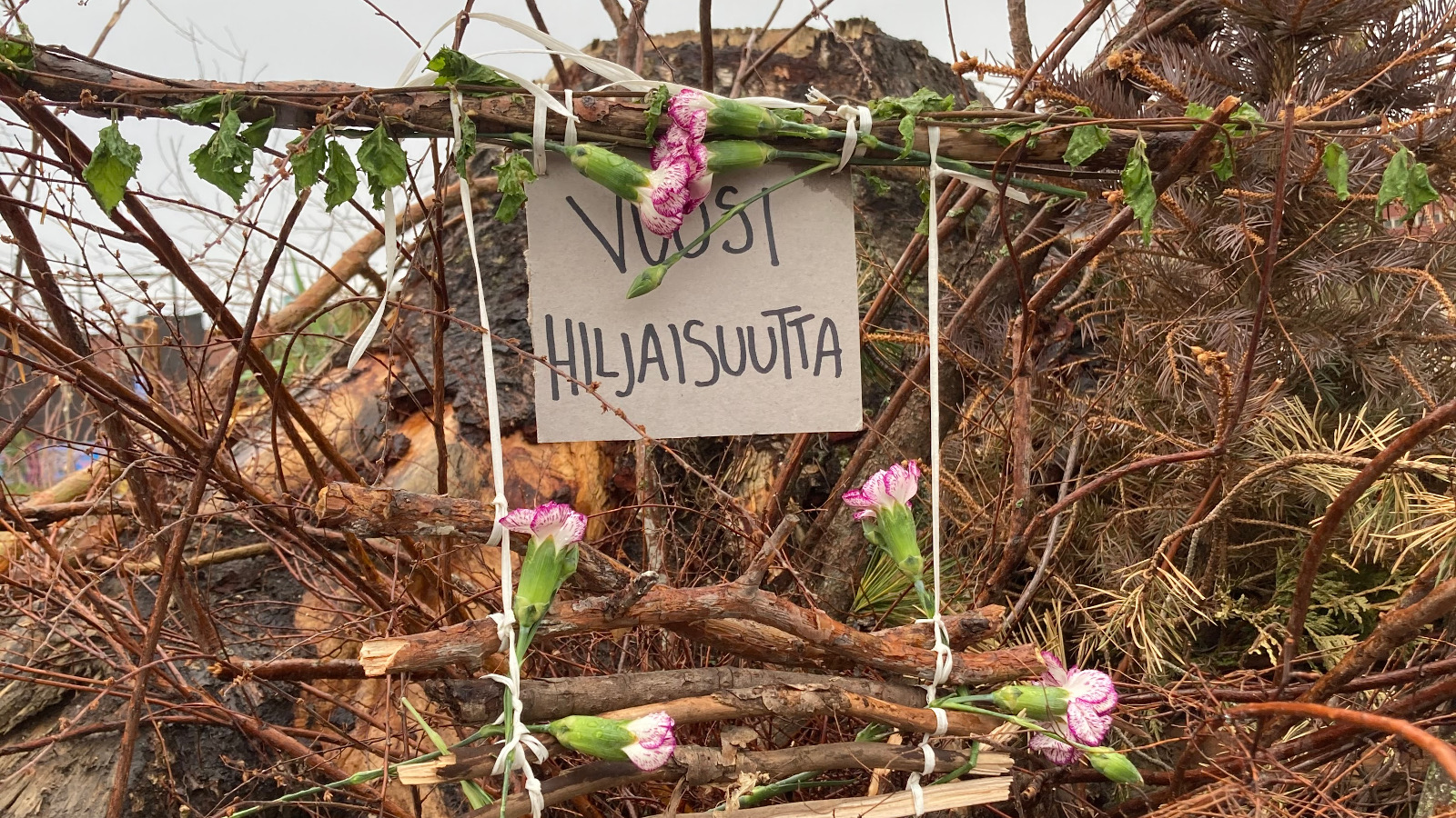 Kuvassa on puun oksalla ripustettuna parista oksasta tehty asetelma, jossa on reunoissa pienet neilikat ja keskellä pahvikyltti, jossa lukee Vuosi hiljaisuutta. 