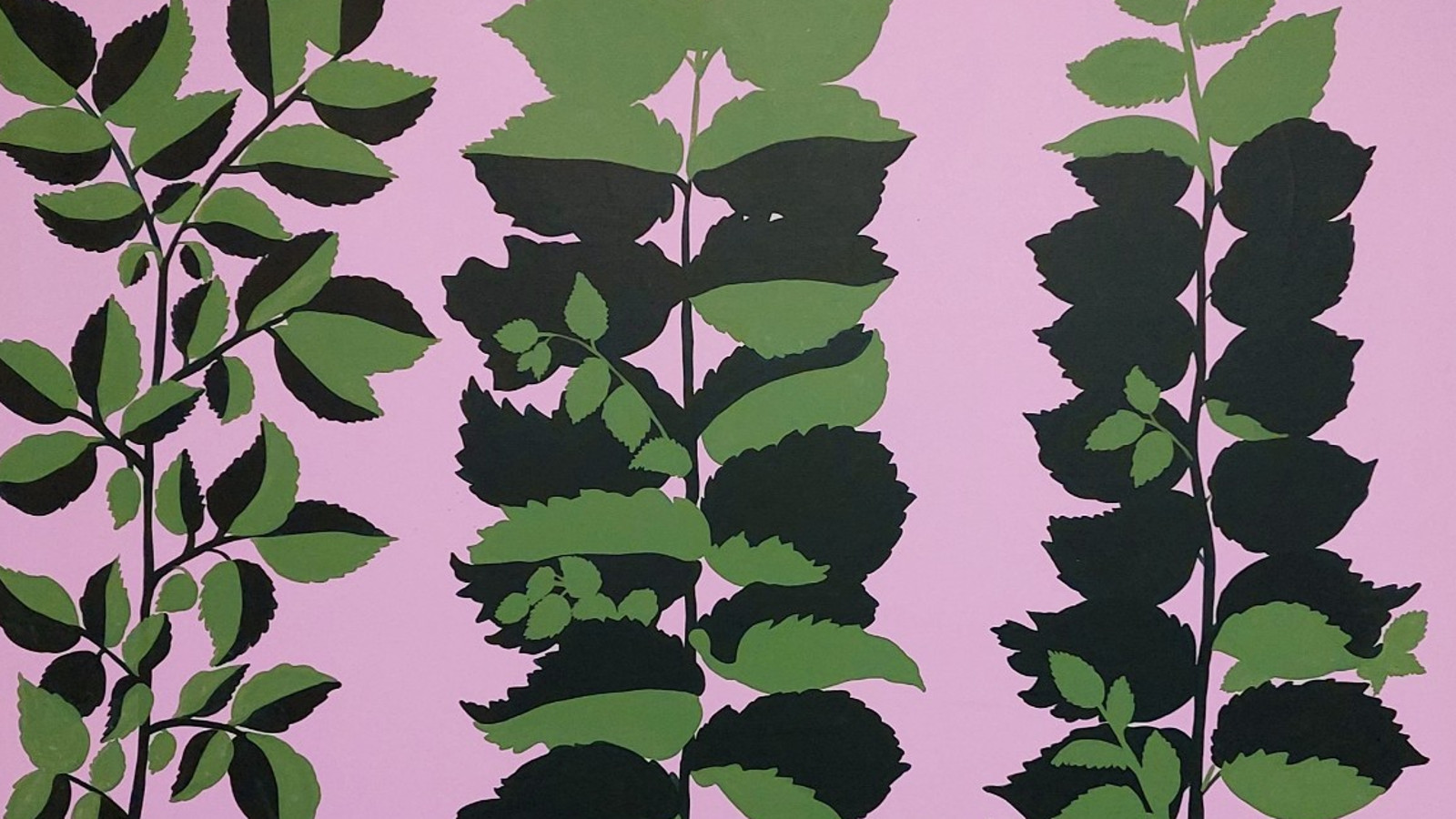 Kuvassa on vaalean puna-violettisella pohjalla kolmessa rivissä vihreitä puun lehtiä.
