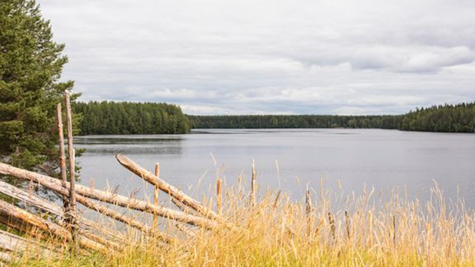 Kuvassa vaalamainen kesäidylli.