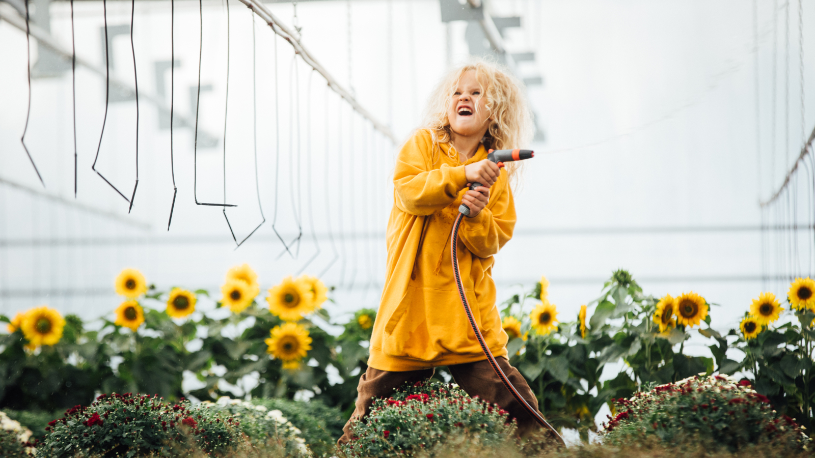 Kuvassa on keskellä Elina Patrakka kasteluletku kädessään seisomassa kasvihuoneessa auringonkukkatarhassa.