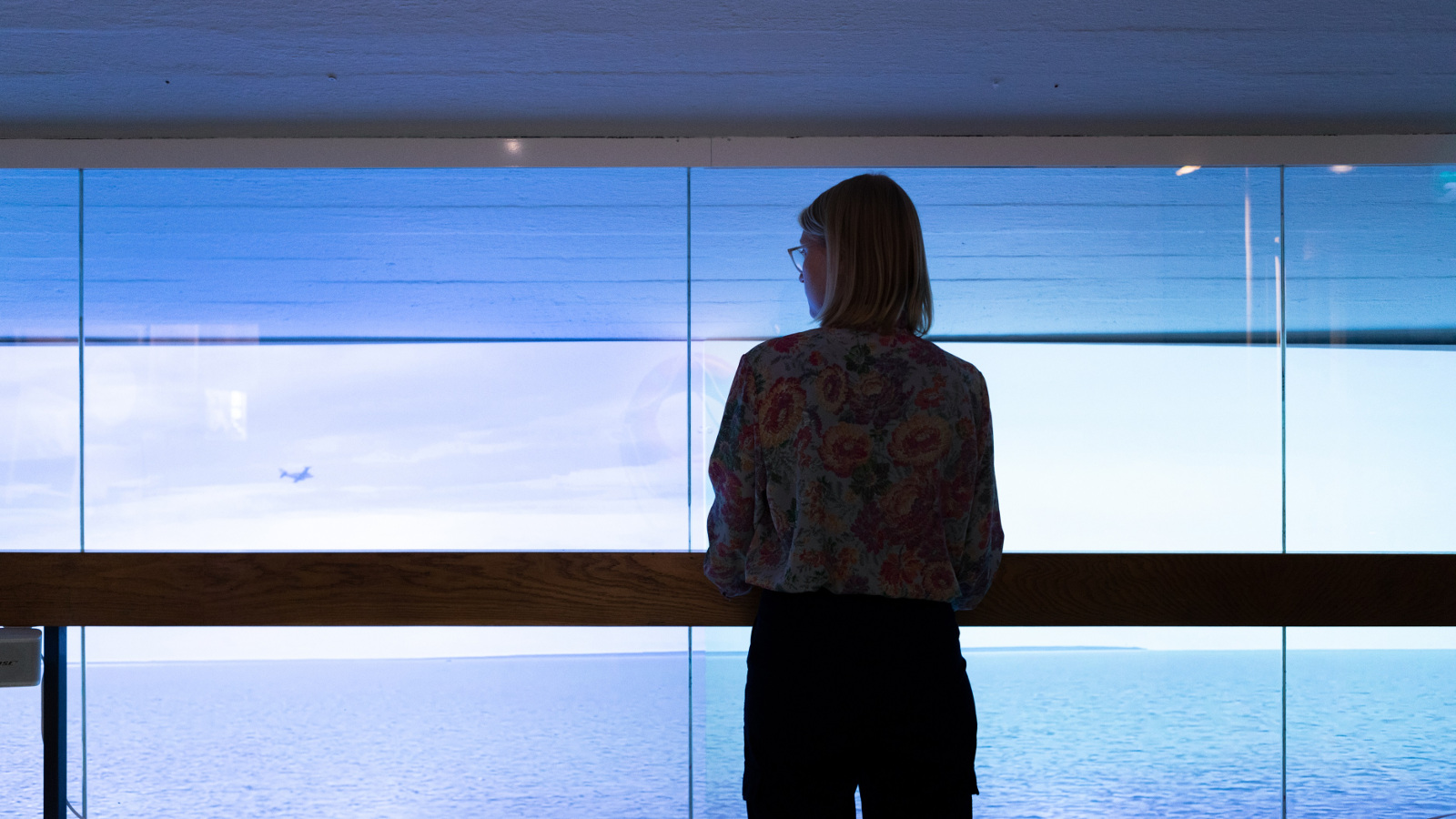 Kuvassa on nainen laivan kaiteen edessä katsomassa merelle.  Kuva on sininen.