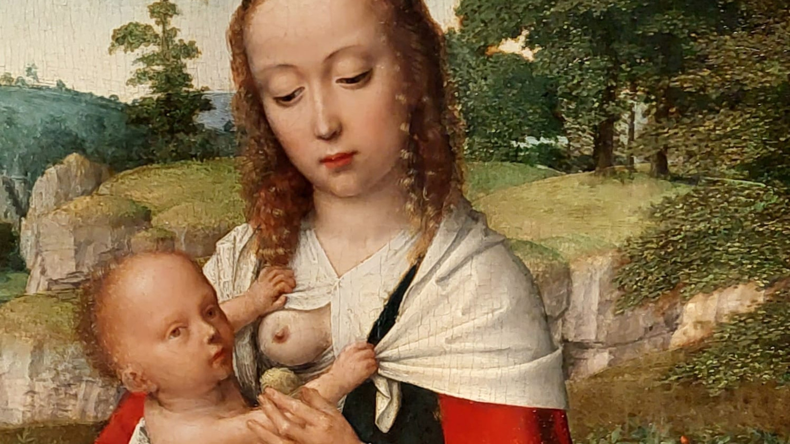Kuvassa on maalaus, jossa Neitsyt Marialla on sylissään Jeesus-lapsi ja takana on ruusuja. Ympärillä on vihreää luontoa. 