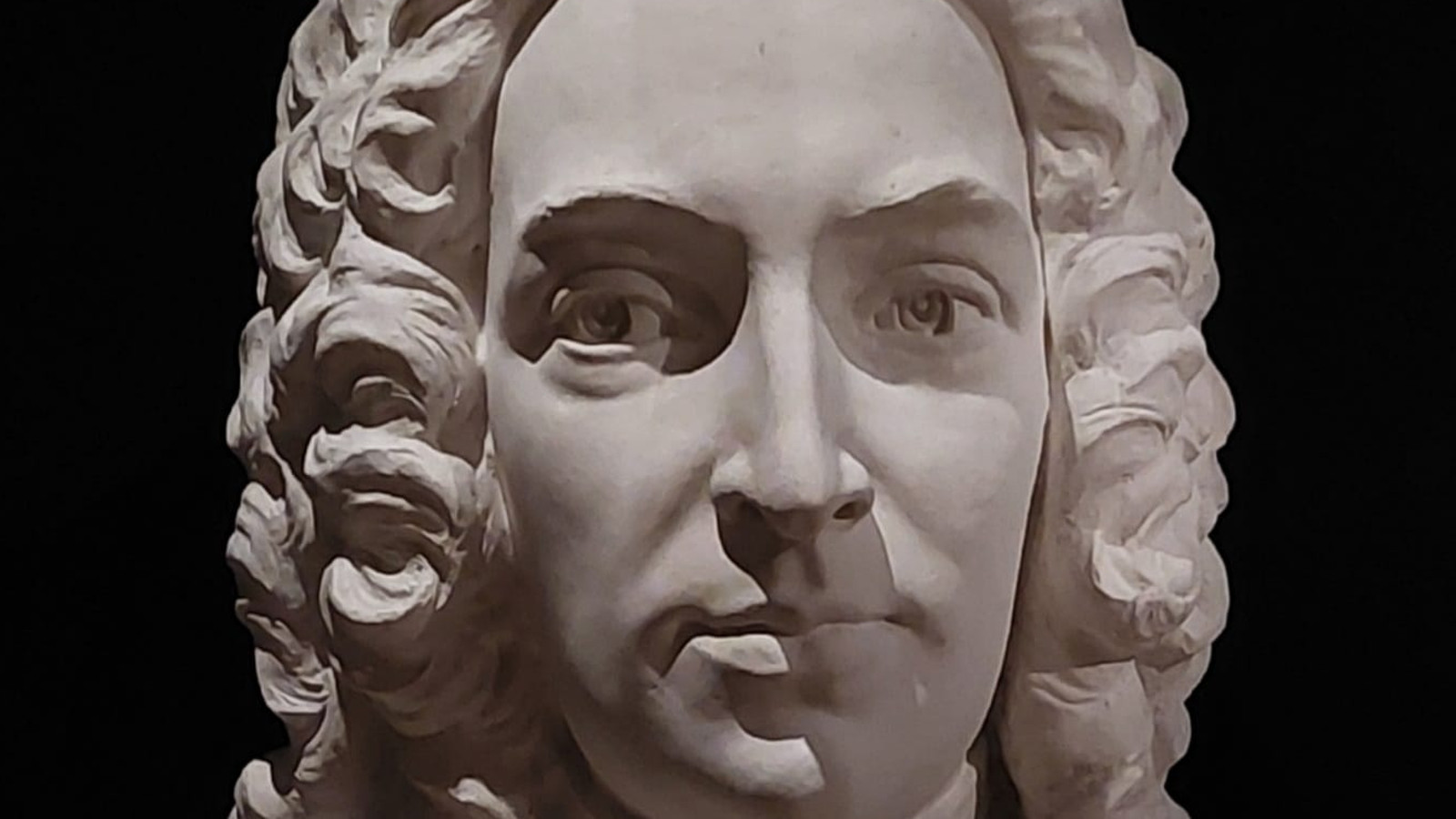 Kuvassa on Carl Linnén vaalea kipsinen muotokuva.   
