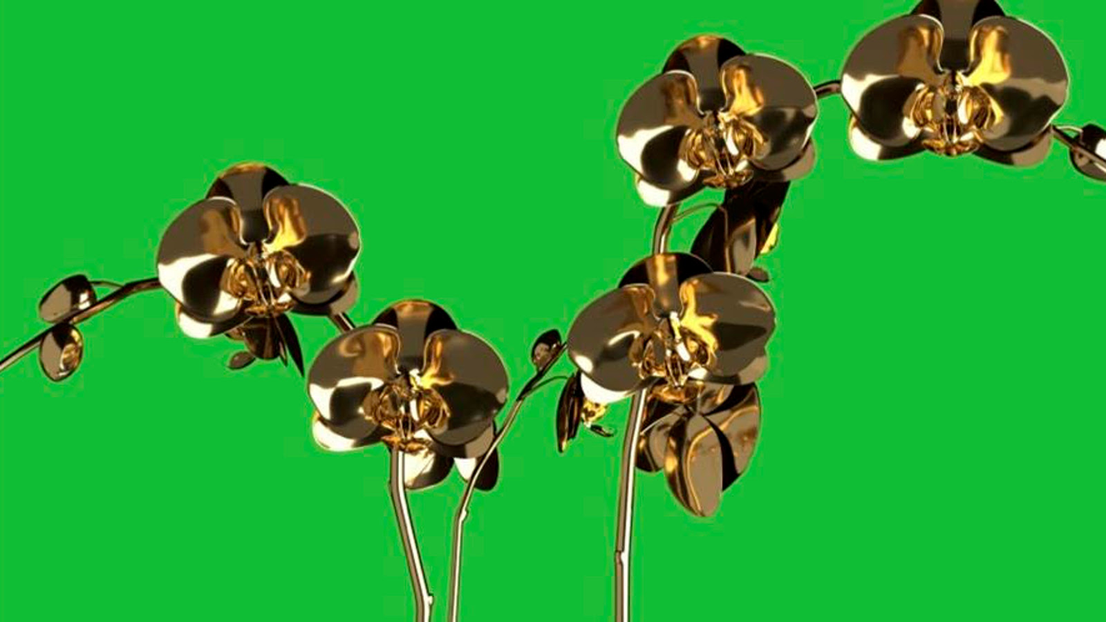 Kuvassa on vihreällä pohjalla metellisia kullattuja orkkideoja.