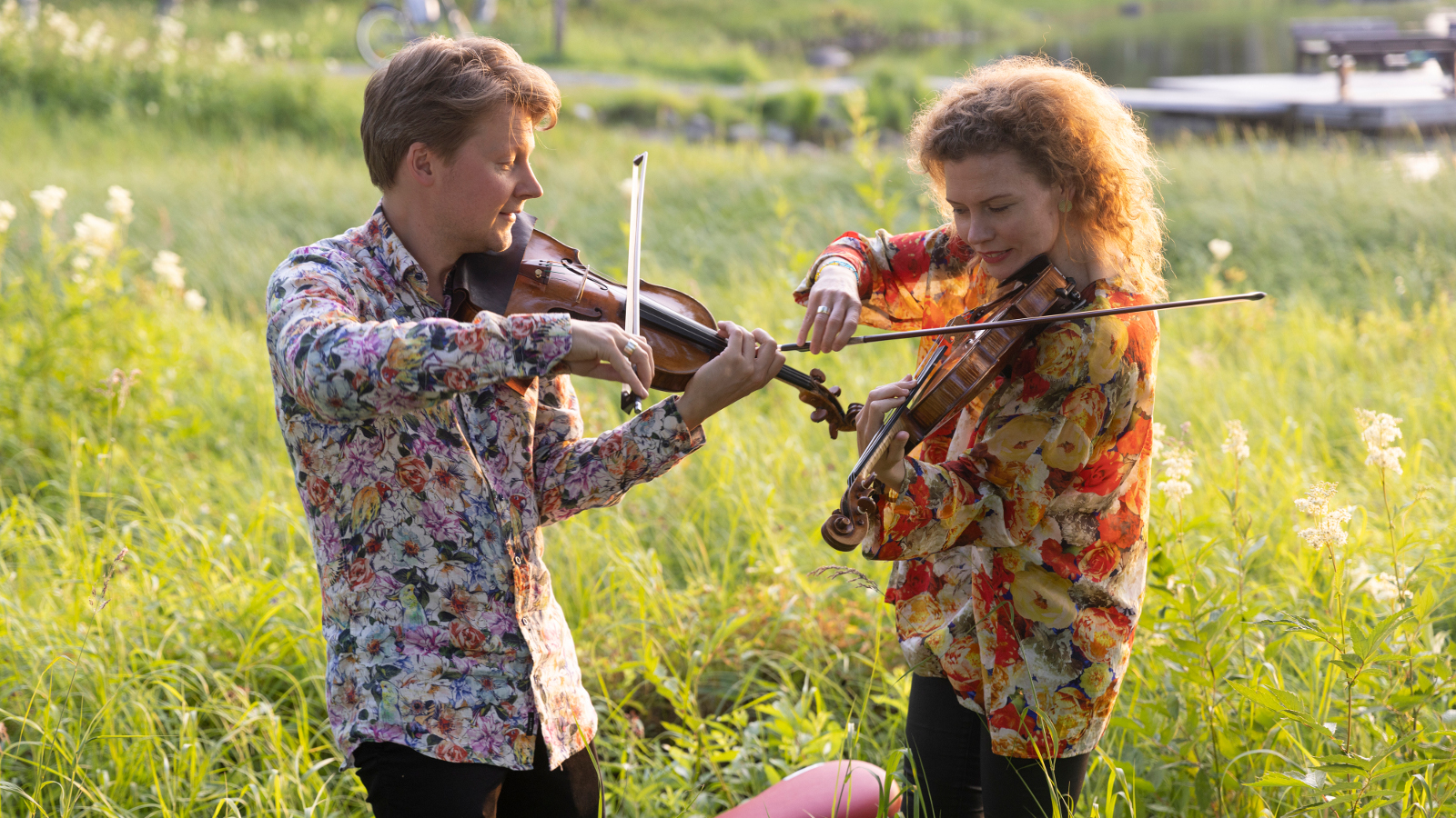 Kuvassa ovat Antti Tikkanen ja Minna Pensola ovat vihreällä niityllä polviin asti ulottuvassa heinikossa.  He molemmat soittavat viulua.