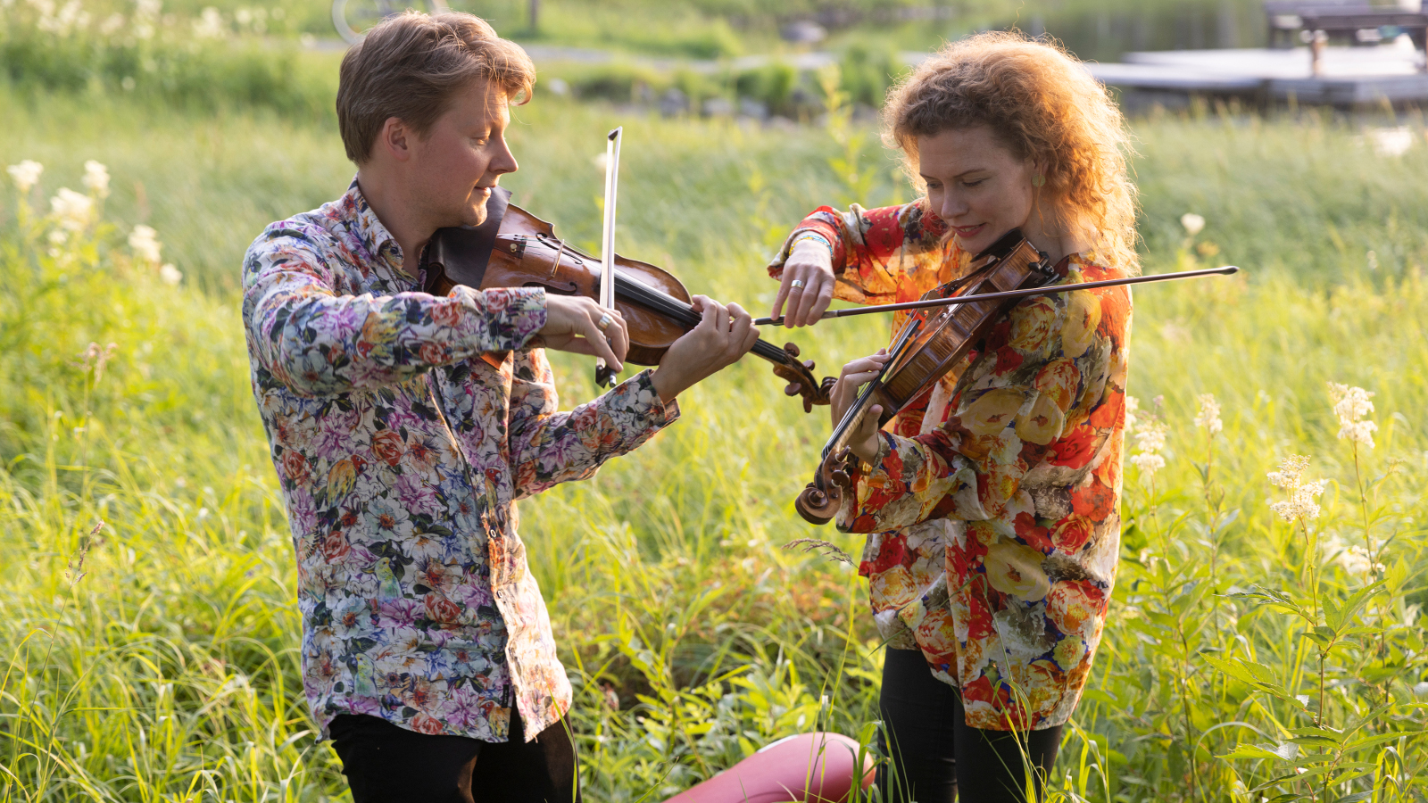 Kuvassa ovat Kuhmon Kamarimusiikin taiteelliset johtajat Antti Tikkanen ja Minna Pensola sivuttain soittamassa viulua.  He ovat keskellä heinikkoa vehreän kesäisessä maisemassa.
