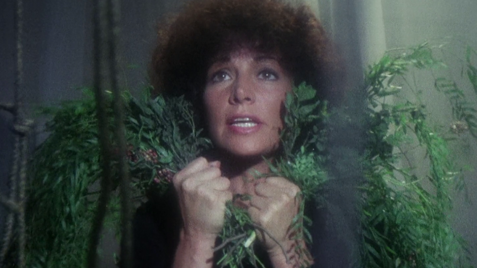 Kuvassa on naisen kasvot ja katse ylöspäin.  Hänellä on ruskeat pörröiset hiukset ja kädessä on vihreitä kasveja.