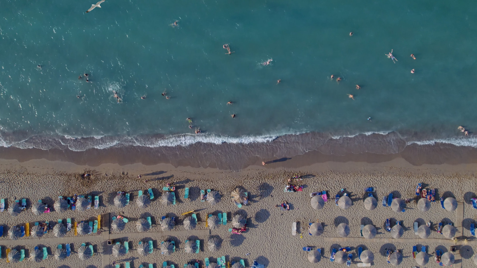 Kuvassa on sinistä merta ja ihmisiä aurinkotuoleissa ylhäältä päin kuvattuna. 