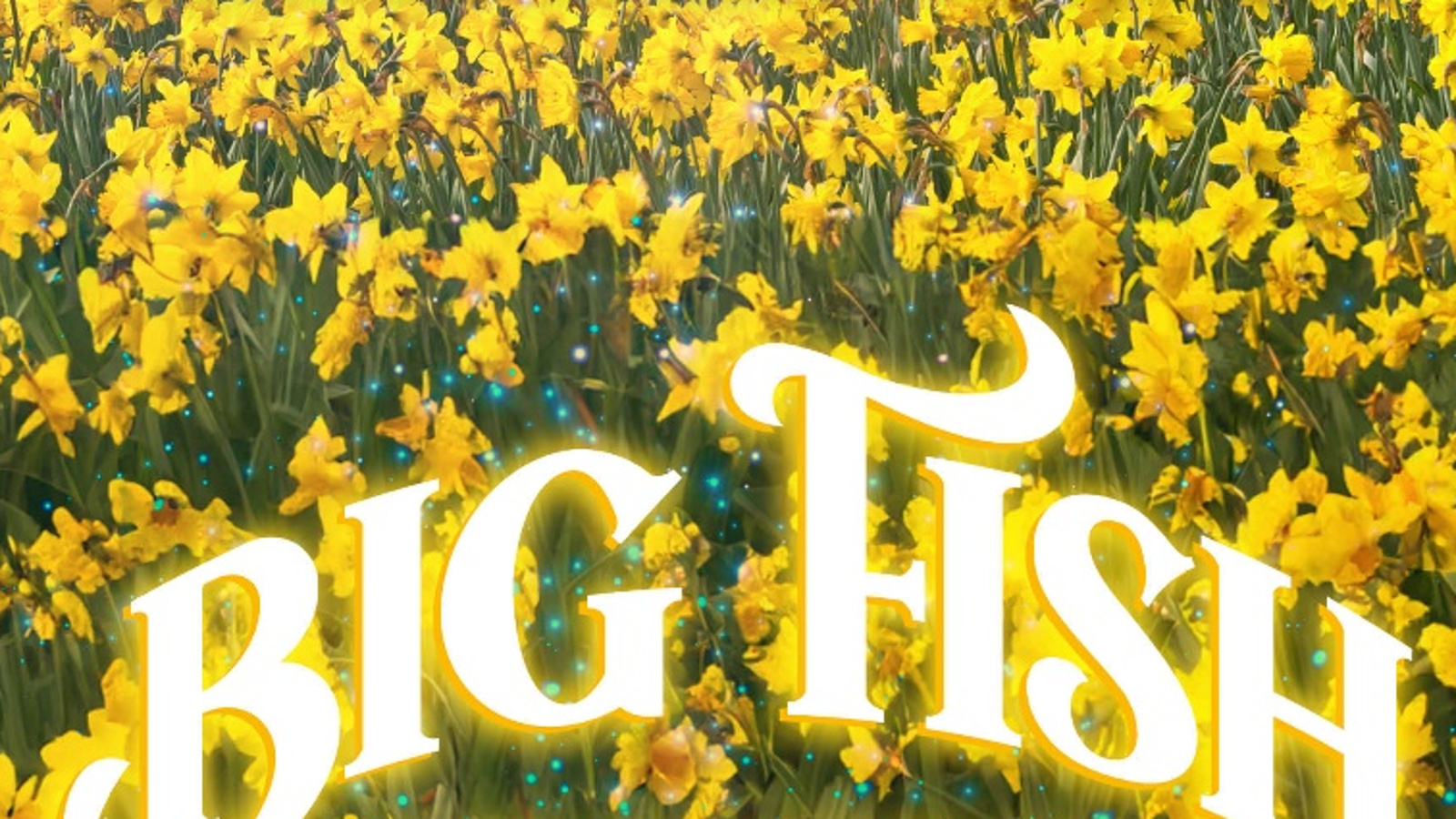 Kuvassa on keltaist narsissipeltoa ja alhaalla kaarevasti isoin kirjaimin Big fish.