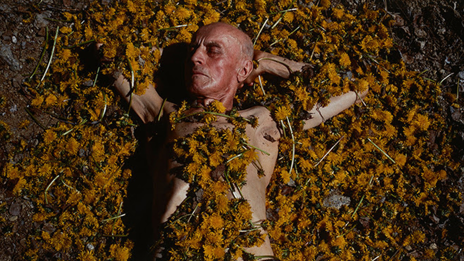  Kuvassa on vaalean ja tumman ruskeiden käpyjen keskellä makaamassa ruskettunut mies.