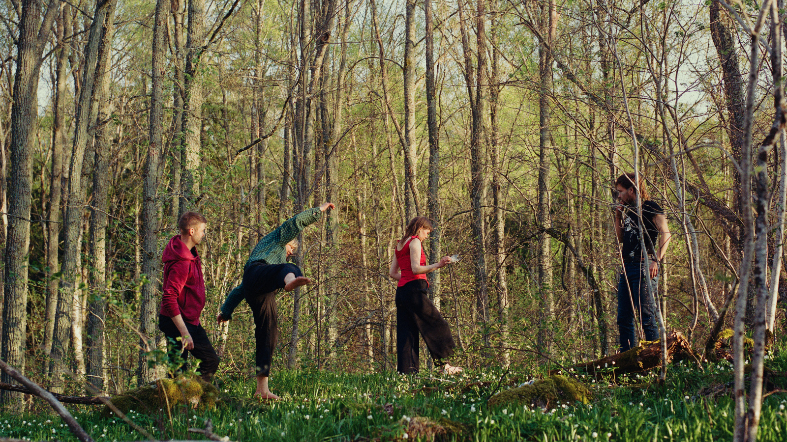  Kuvassa on neljä nuortaa kulkemassa metsässä.  Metsä on haavikkoa ja vaalean vihreän keväinen.