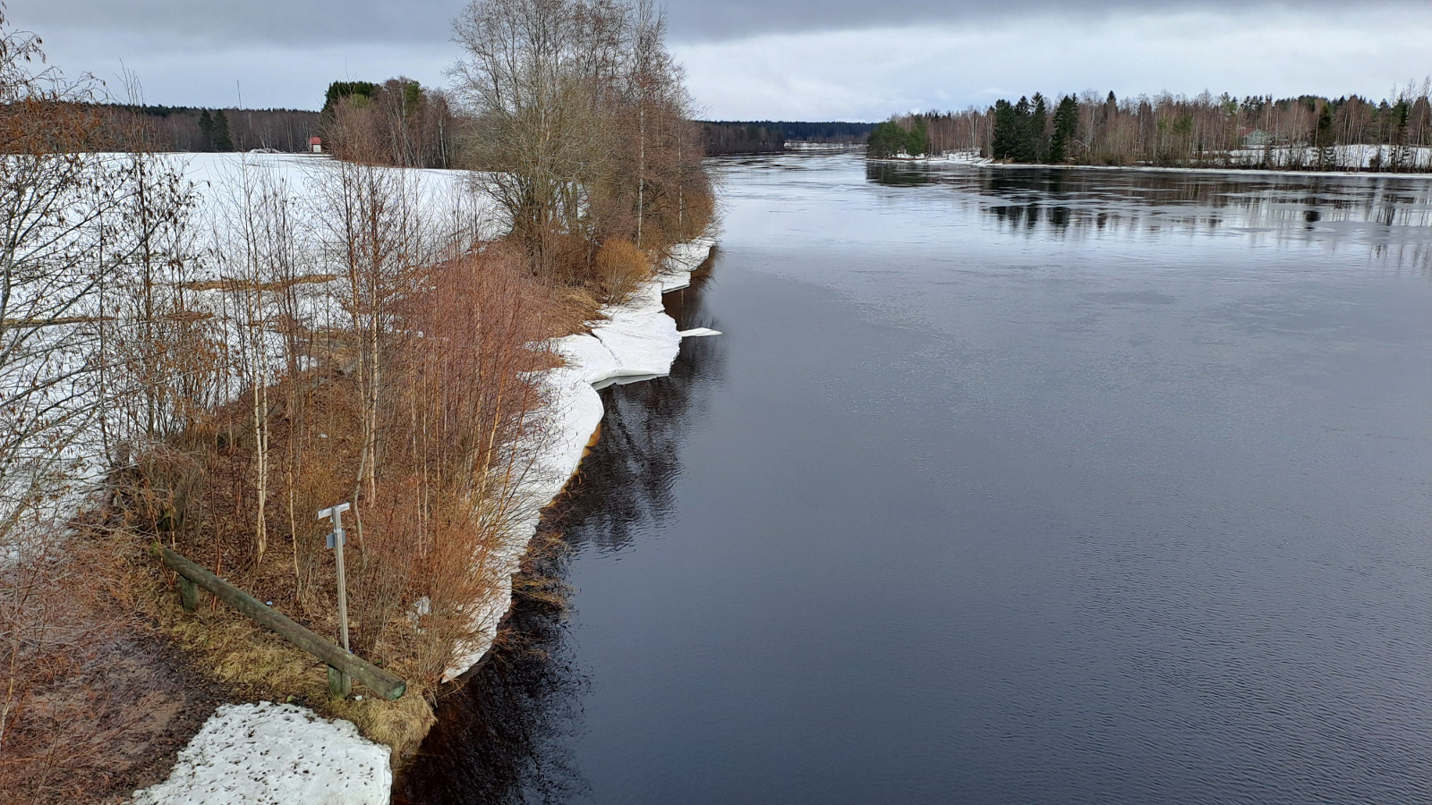   Kuvassa on kelta-puna-vihreä lohikäärmeen pää.  Sitä katselee vasemmassa kulmassa vaalea nuori tyttö. Taustalla on tumma rakennus.