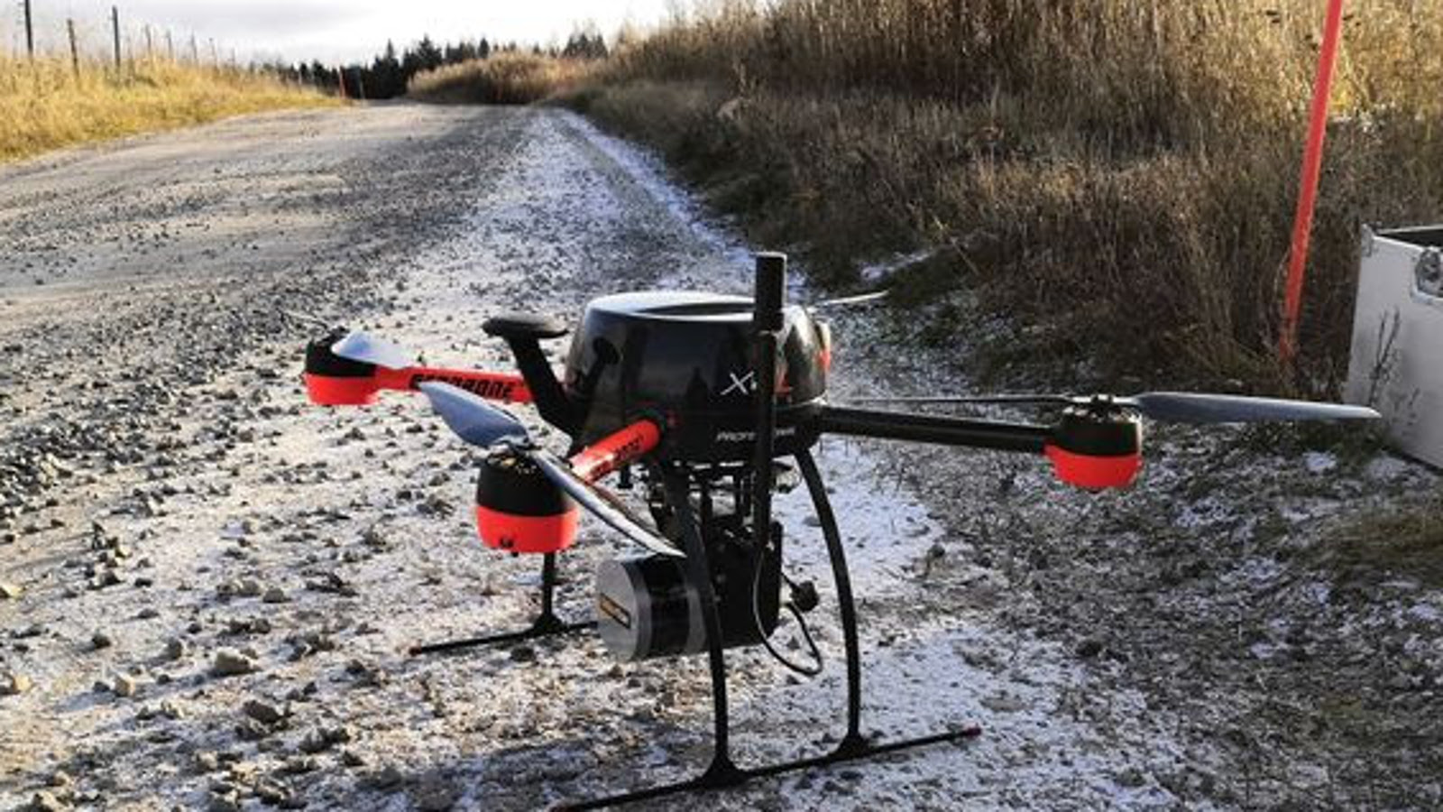 Kuvassa on soratie maaseudulla ja vasemmalla näkyy hieman ruohopeltoa. Oikealla on pitkää ruohoa.  Etualalla on drone, jossa on tummien neljän sakaran alla oranssia.  