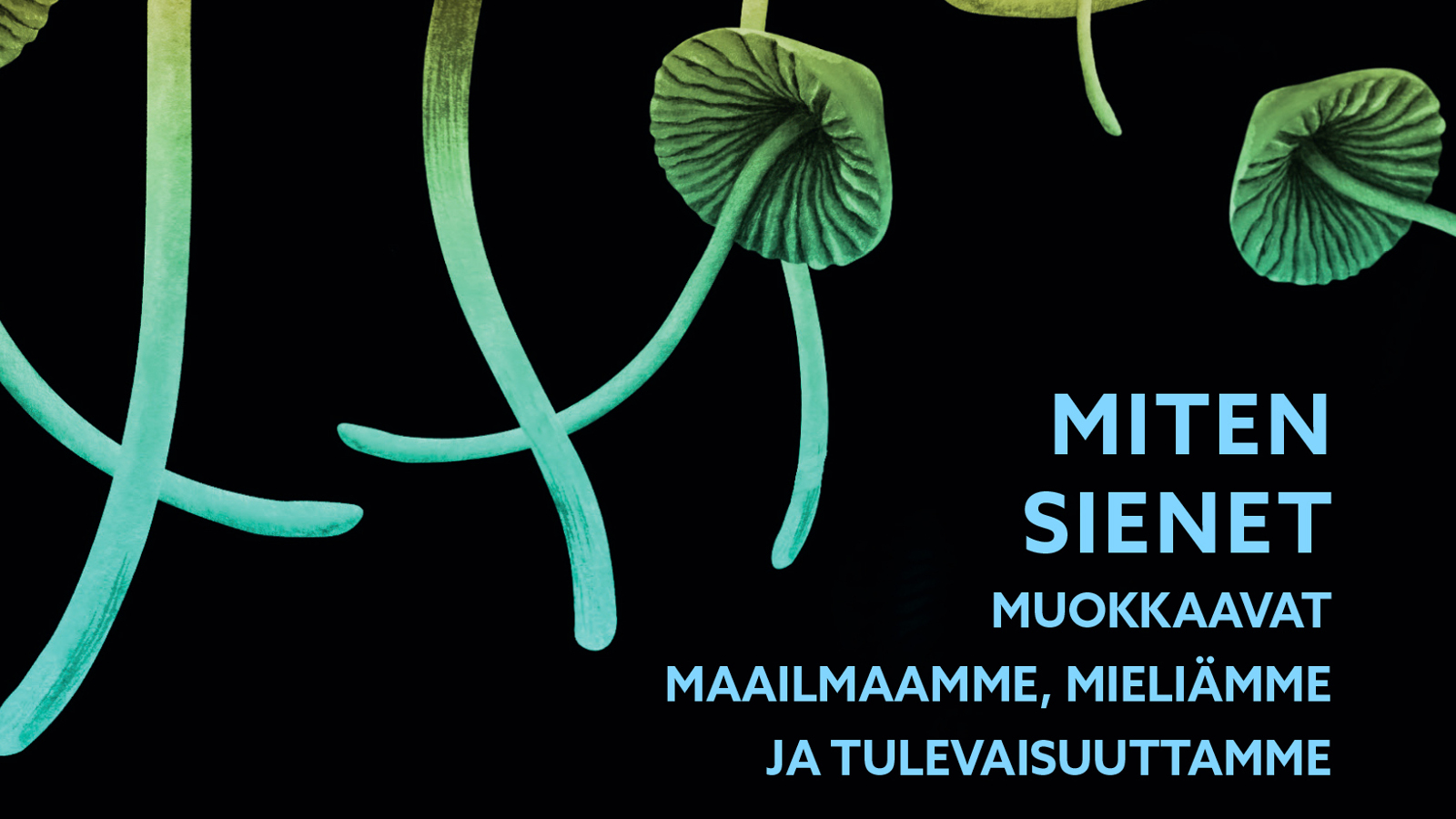 Kuvassa on mustalla pohjalla vihertäviä sieniä ja niillä on pitkät, kapeat kannat. Oikeassa kulmassa on kirjan nimi Miten sienet muokkaavat maailmaamme, mieltämme ja tulevaisuuttamme.