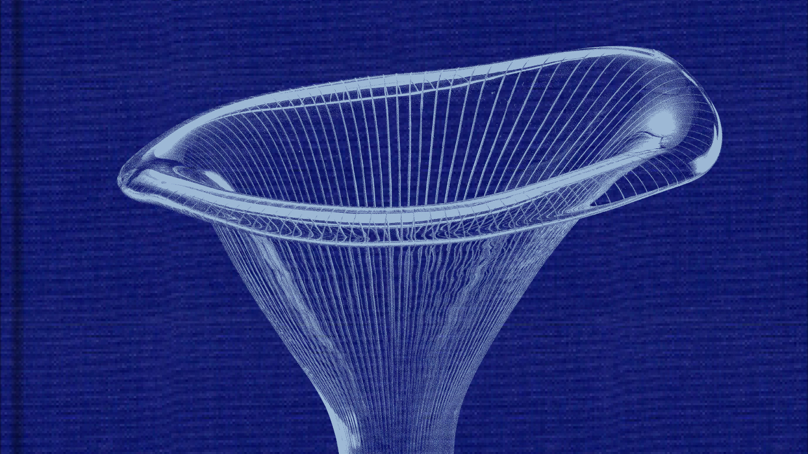 Kuvassa on sinisellä pohjalla läpinäkyvän hieman vinossa olevat, pyöristetyn maljakon suppilomainen yläosa.
