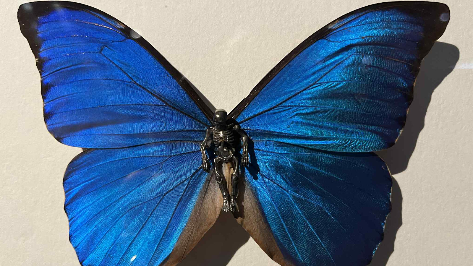 Kuvassa on sininen perhonen ja sen keskellä on musta, pieni mies. Tausta on vaalea.