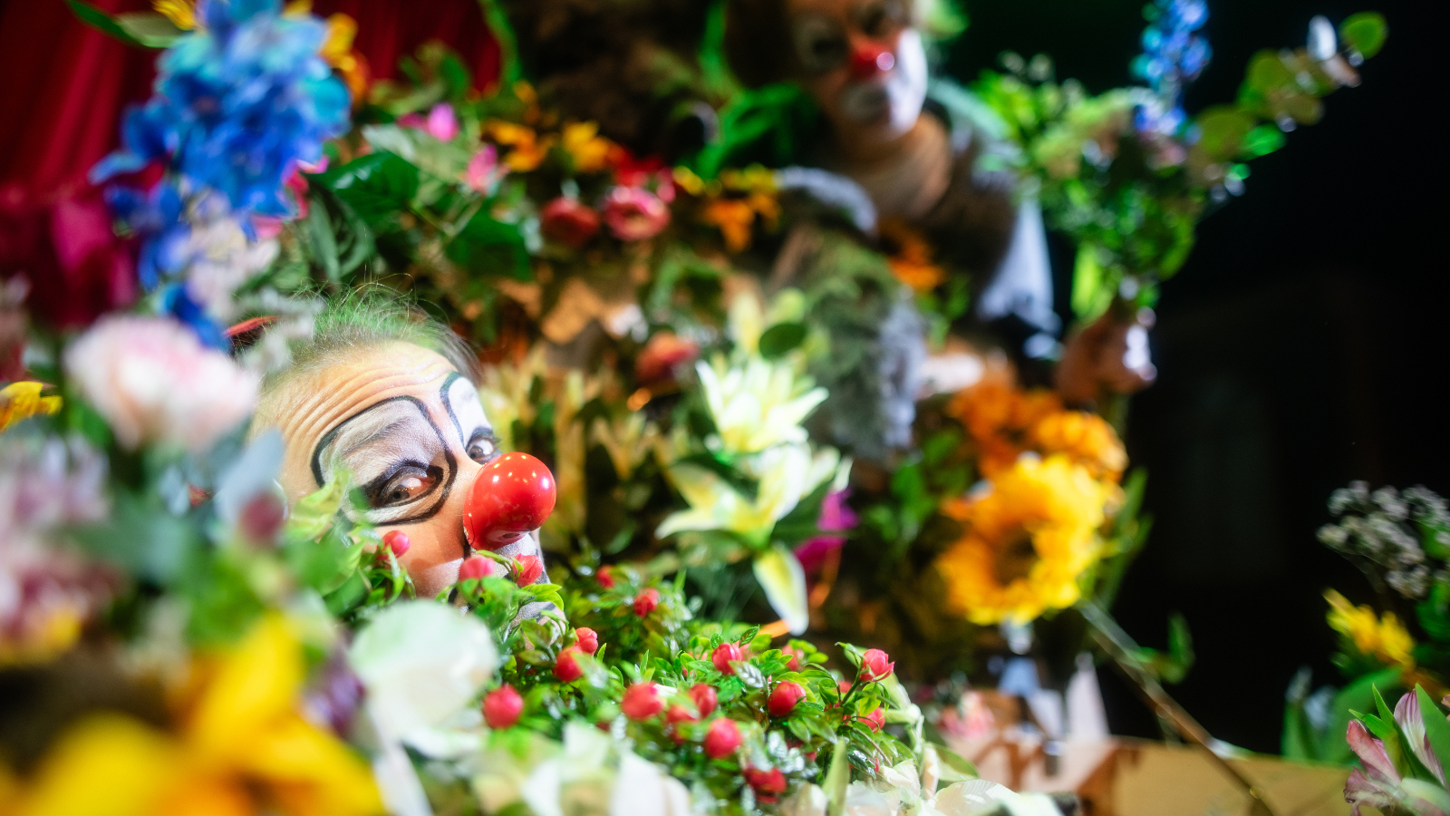 Kuvassa on kukkameri eri värisistä kukista, erityisesti keltaisista. Vasemmalla keskeltä kukkia kurkkii klovnin kasvot ja punainen nenä.