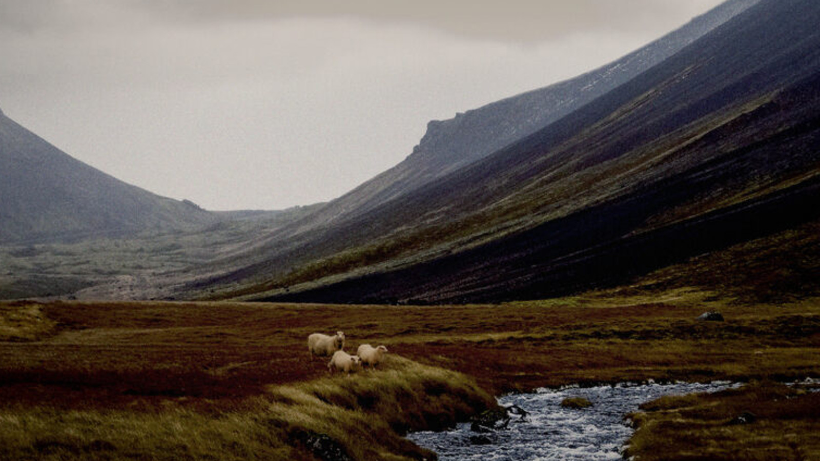 Kuvassa on Islannin tuntureita taustalla ja välissä laaksoa. Etualalla keskellä lamppaita ja niiden edessä joki.