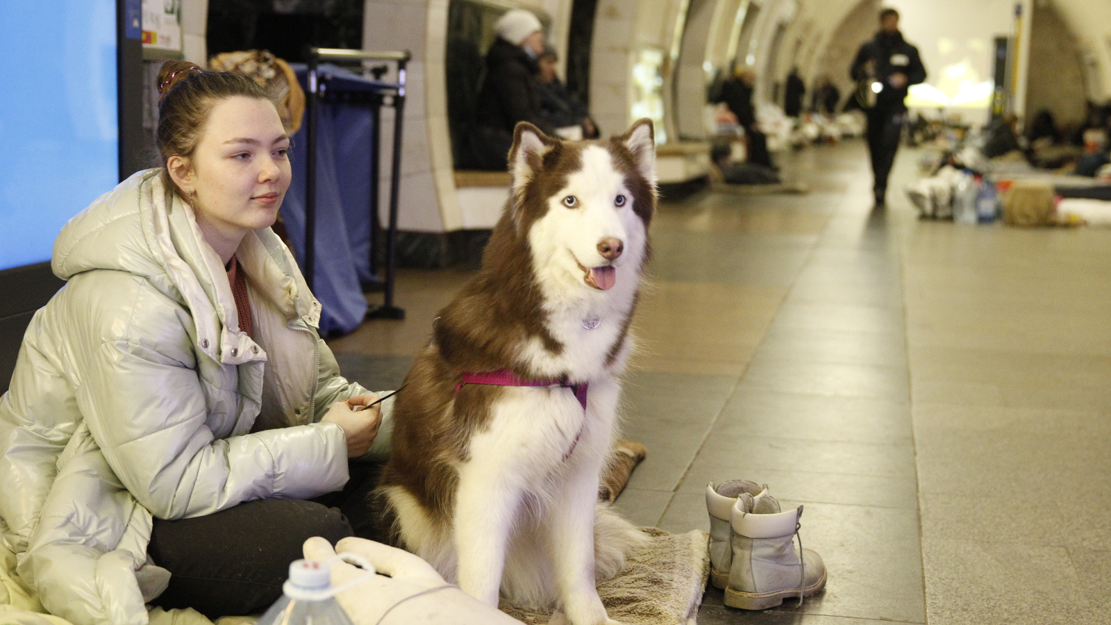 Kuvassa on vaaleaa metrokäytävää ja vasemmalla edessä vaaleatakkinen nuori nainen ja hänellä on iso valko-harmaa koira istumassa. Taustalla näkyy muita ihmisiä kauempana.