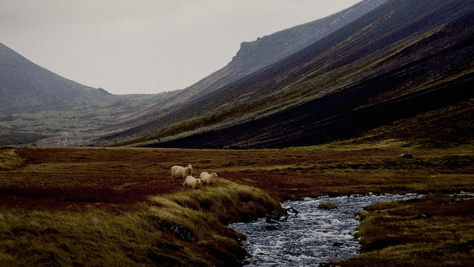 Kuvassa on islantilaista tunturimaisemaa. Siinä on kauempana tunturia, jossa oin laaksoa ja etualalla tasanteella on leveä puro. Värit ovat tumman vihreää.