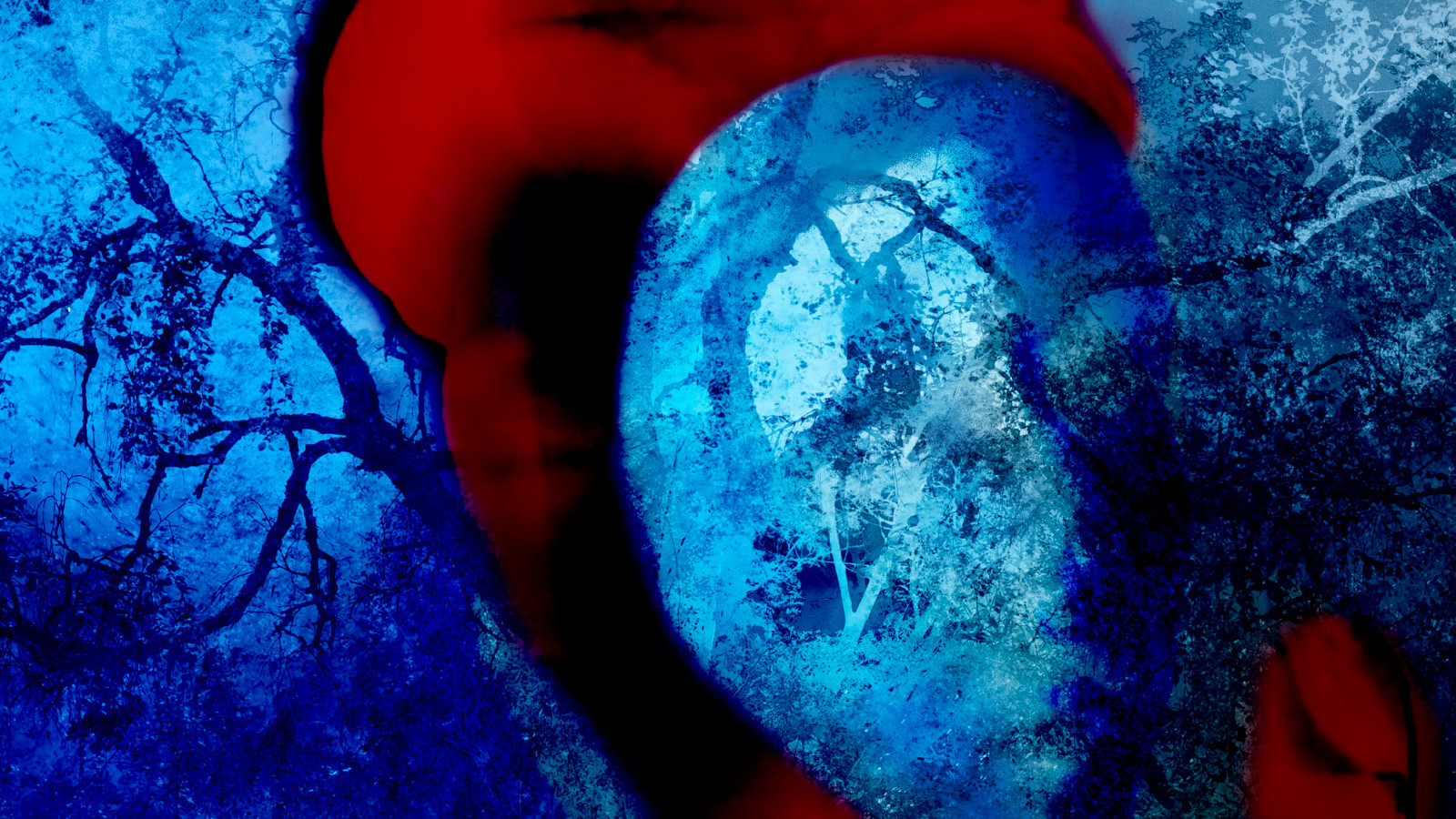 Kuvassa on punainen päähine ja sinistä, jossa on oksia. Päähineen sisältä hahmottuu hieman kasvoja. Kuva on osa kirjan kannesta.