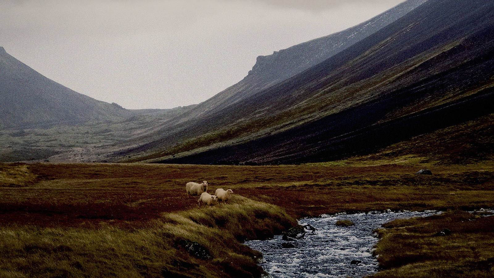 Kuvassa on tuntureita vasemmalta oikella kaartuen. edessä on tumman vihreää ja edessä leveää puroa virtaamassa. Takana on harmaata taivasta. Kuva on osa kirjan kannesta.