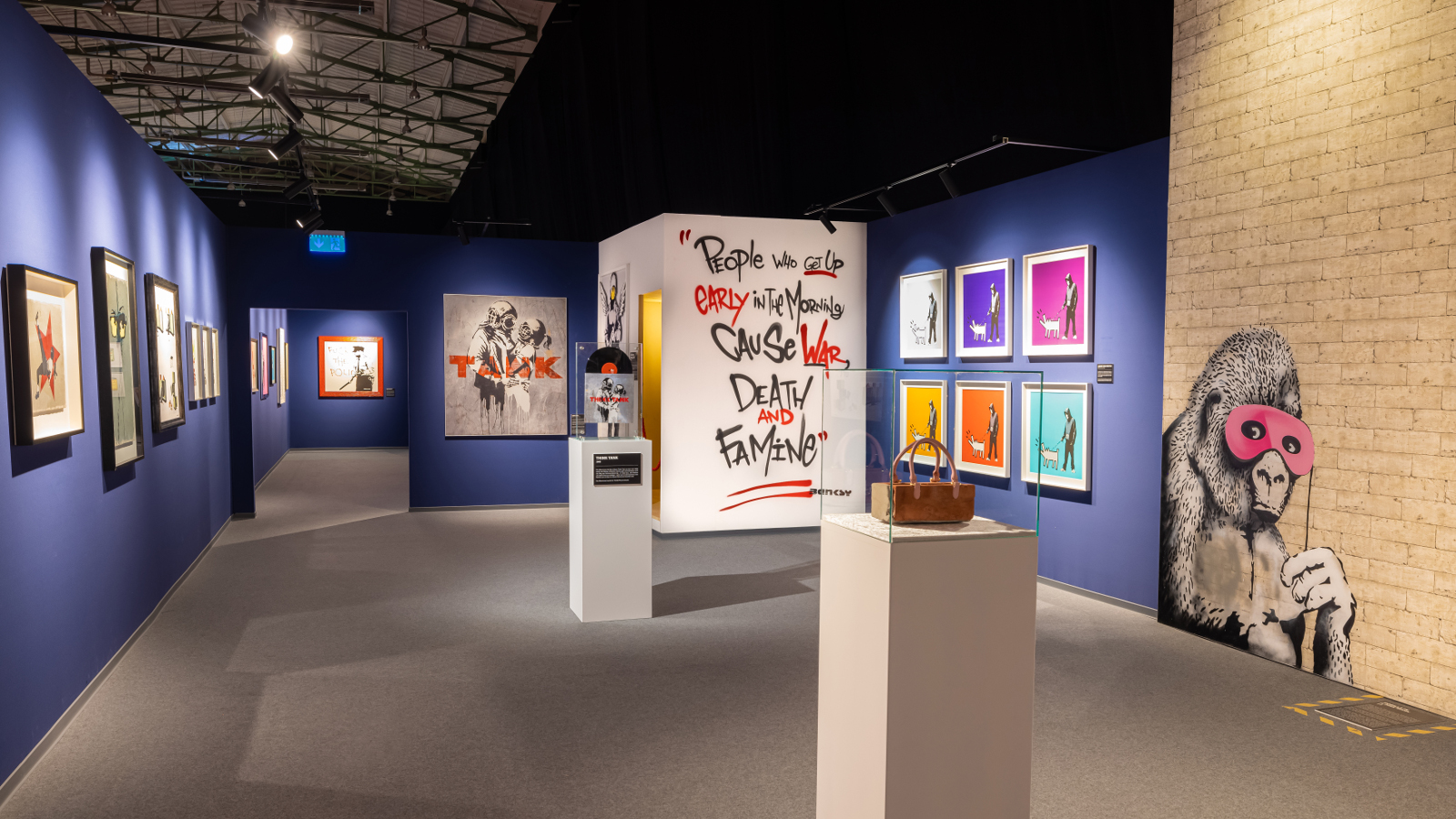 Kuvassa on näyttelytilaa on tauluja sinisellä seinällä ja oikealla on myös vaalean ruskeata seinää, jossa on apinan kuva. Keskellä on valkoisia jalustoja ja iso kuution jossa on tekstiä.