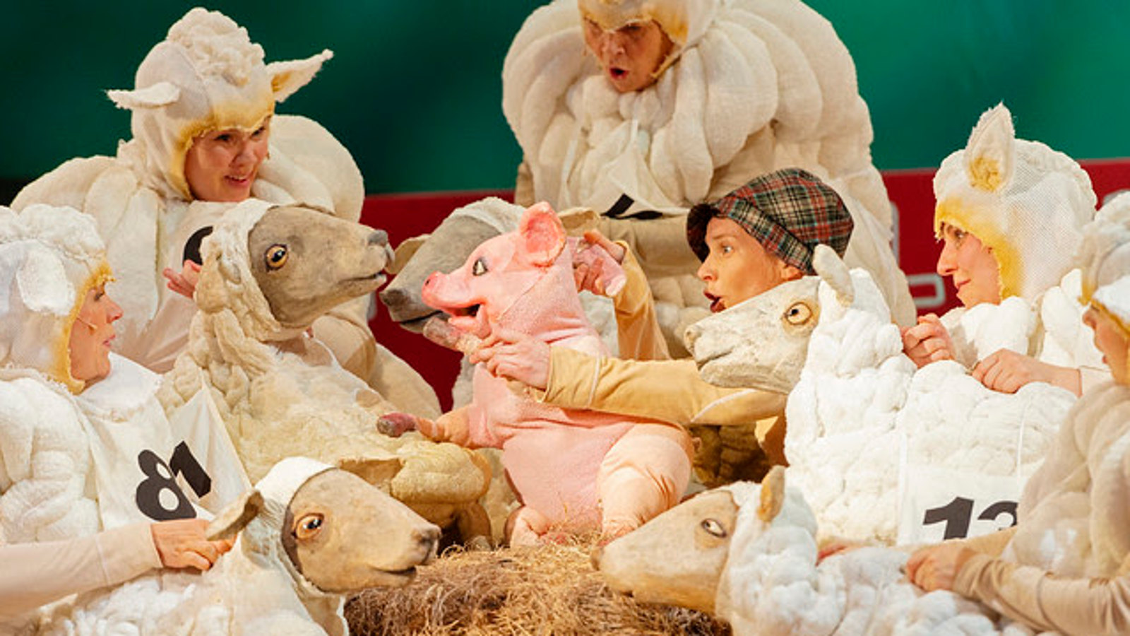 Kuvassa on näyttelijöitä lampaiden vaatteissa ja keskellä on Babe-possu nukkena ja muutama lammas.  Lampaat ovat valkoisia ja Babe vaaleanpunainen.