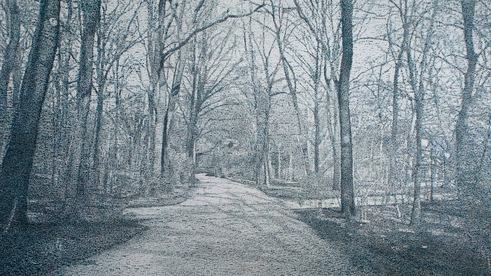 Kuvassa on lehdettömiä puita italialaisessa metsässä ja keskellä menee kapea tie ja oikealle haarautuu toinen vielä kapeampi tie.