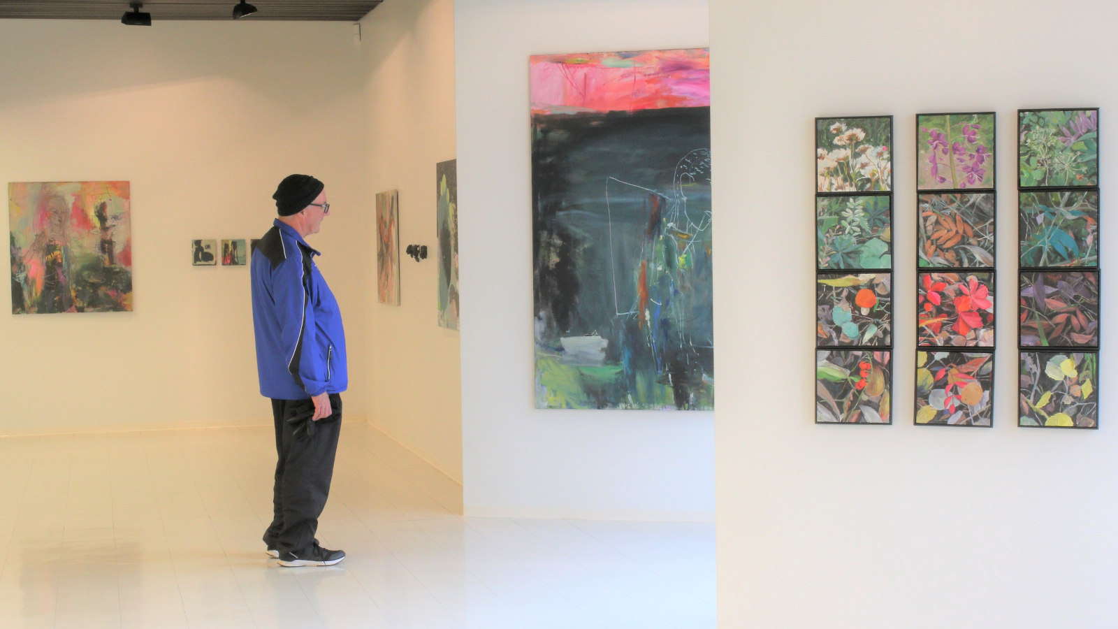 Kuvassa on Riihisaaren museon näyttely tila ja siinä ripustettuja näyttelyn tauluja eri seinillä.  Näyttelyä katsomassa on sivuttain sinisessä tuulipuvussa oleva mies.
