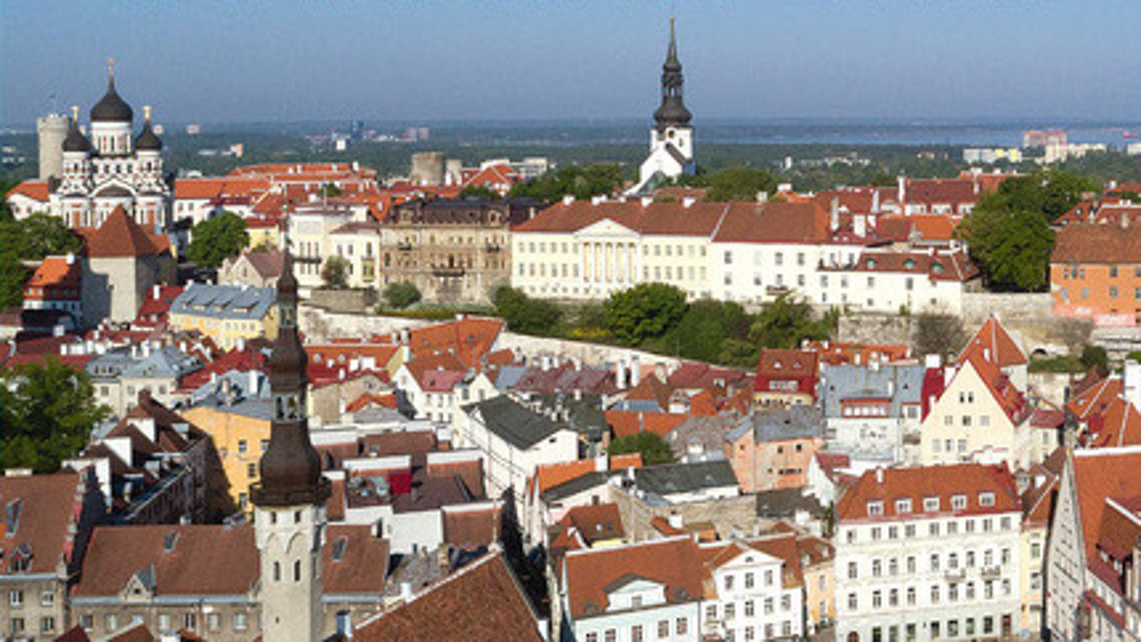 Kuvassa on Tallinnan vanhankaupungin kattoja ja rakennuksia kuvattuna ilmasta.  Kuva on otettu aurinkoisena päivänä  ylimpänä näkyy sinistä taivasta.