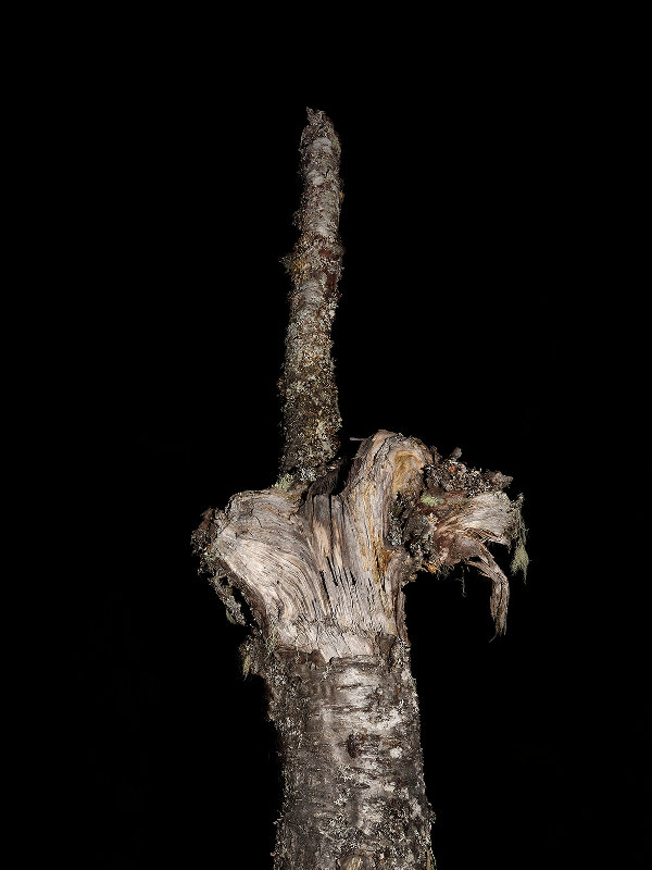 Esko Männikkö, Untitled