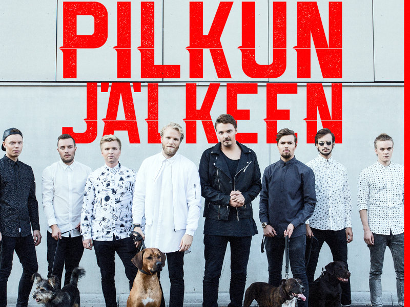 Roope Salminen & Koirat, Pilkun jälkeen