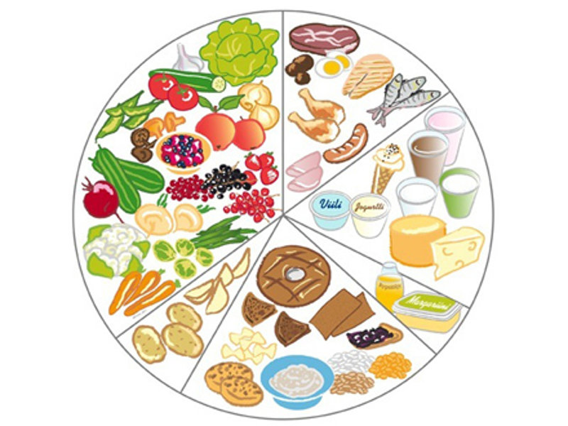 Ruokaympyrä, kuva Yhteishyvä Raili Mononen