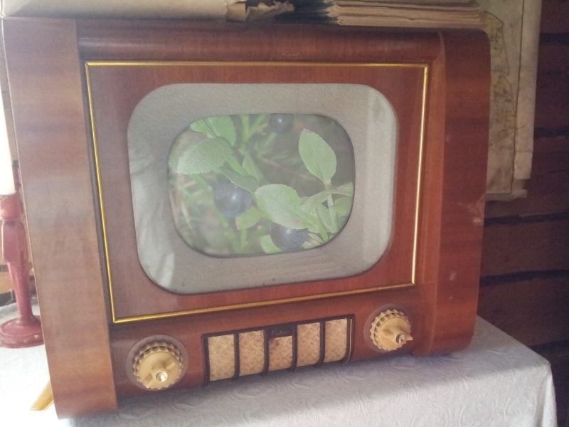 Vanha televisio näyttää kuvaa mustikoista. Kuva: Jukka Niiranen, CC BY-SA, www.niiranen.fi .