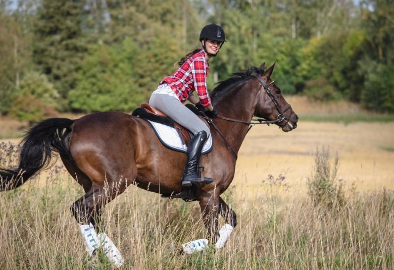 Kuvassa on ratsastaja, joka on nuori nainen. Hänella on päällään harmaat ratsastushousut, puna-valkoruudullinen paita ja musta kypärä sekä saappaat. Hevonen on ruskea ja se on laukalla.  Taustalla on lehtimetsää ja hevonen on vaalean ruskeassa, kuivahkossa heinikossa.  Taaempana on vaaleata sänkipeltoa.
