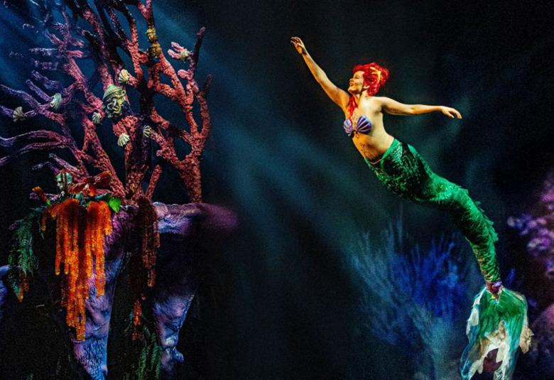 Kuva on merenpohjamaiseksi tehdystä ympäristöstä, jossa merenneito ui yläviistoon.  Merenneidolla on vyötäröstä alaspäin vihreä merenneidon vaate, jossa on pyrstö. Tausta on tummansininen ja vasemmalla on tehty sininen kivimäisiä pystyrakennelmia, joiden päällä on ruskean oransseja leväkasvimaisia neulottuja reiällisiä koristeita.   