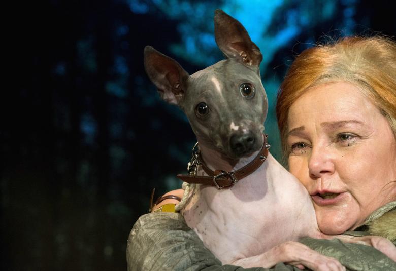 Kuvassa on Sari Mällinen ja hänen kasvonsa näkyvät oikeassa alakulmassa.  Hänellä on harmahtava tukka, joka on värjätty punaisella sieltä täältä.  Päällään hänellä on harmaan vihreä takki sekä sylissään valkoinen mustakasvoinen pinseri.  Koiralla on kaulassaan panta. Taustalla on tumma kuusimetsä ja keskeltä näkyy sinistä valoa.