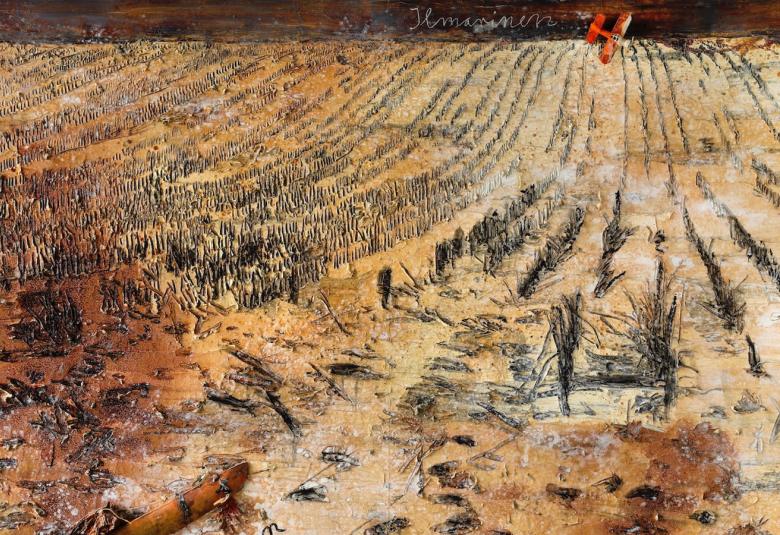 Kuvassa on okran väristä peltoa, jossa on tummia kohtia.  Yläreunassa näkyy ruohoa.