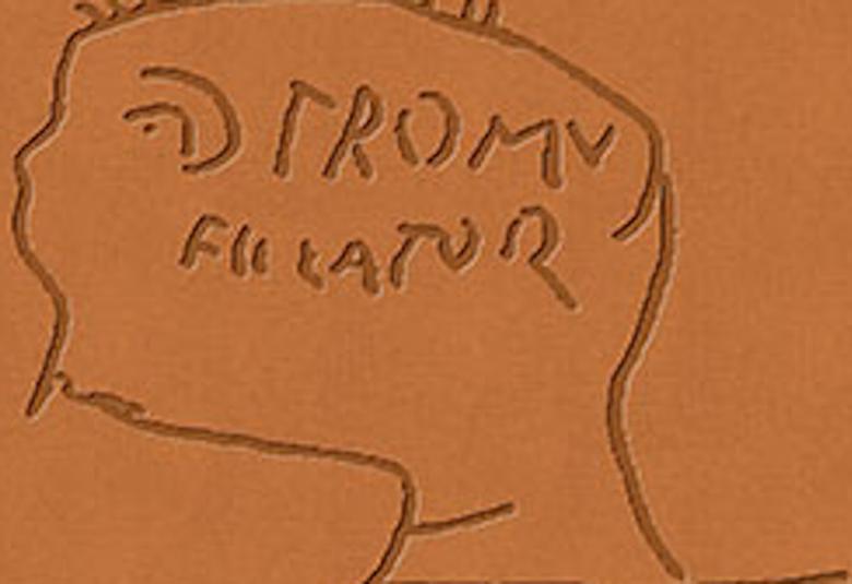 Kuvassa on ruskean oranssilla pohjalla kirjan kansi ja teksti Räävitöntä! Pompeijilaisia graffiteja sekä kirjoittajan nimi Ari Saastamoinen.  Kannessa on kuvioita.