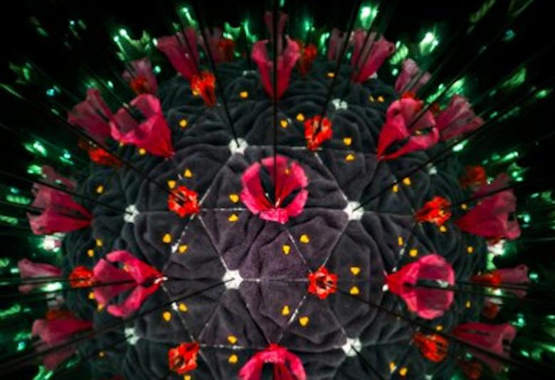 Kuvassa on koronaviruksesta käytetty puna-musta värikuva.  Se on osa kirjan kannesta.