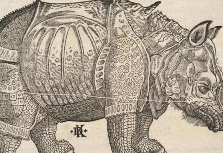 Kuvassa on Sarvikuono piirroksena, jossa on pienoiä yksityiskohtia.  Pohja on vaalean ruskea.