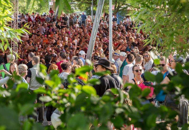 Kuvassa on Kaustisen kansanmusiikkijuhlien yleisöä, jotka ovat tiiviinä ryhmänä vihreiden puiden ympäröimänä.