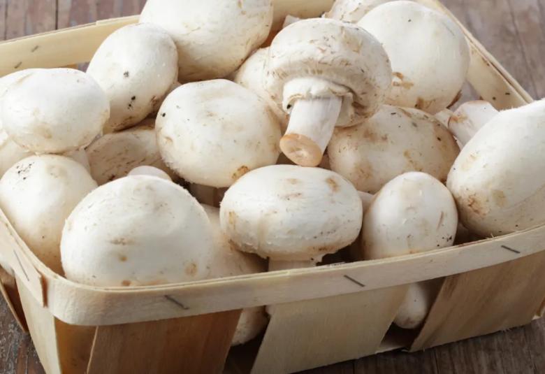 Kuvassa on valkoisia herkkusieniä vaaleassa pärekorissa.