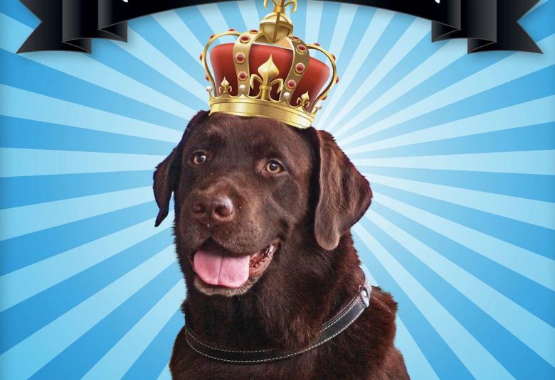 Kuvassa on musta labradorinnoutaja, jolla on kruunu päässään. Tausta on vaalean sini-siniraidallinen.  Molemmissa reunoissa on kullanväristen kehysten raamia.